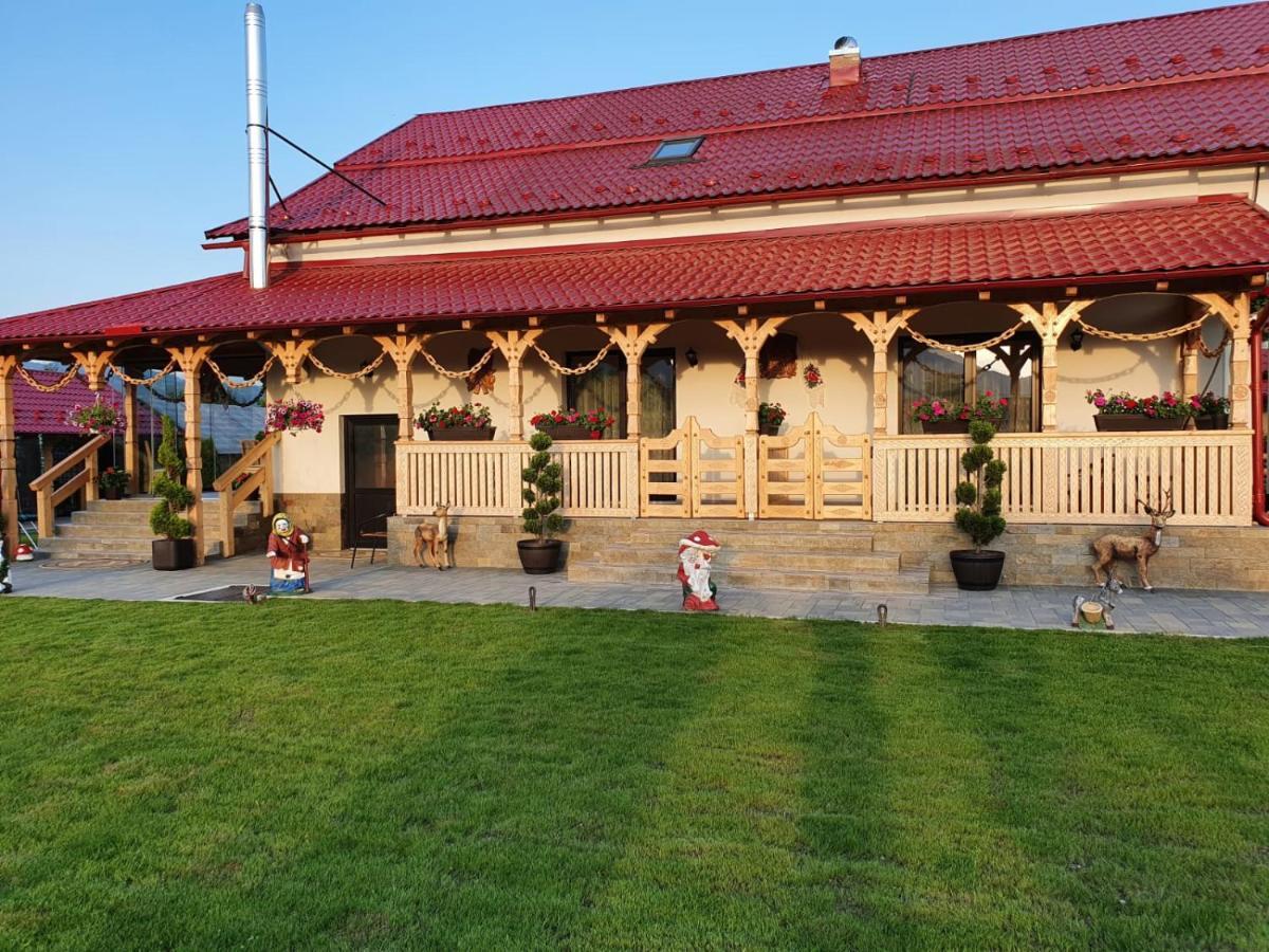Casa Alexandru - Locul In Care Te Simti Acasa Hotel Вишеу де Жос Екстериор снимка