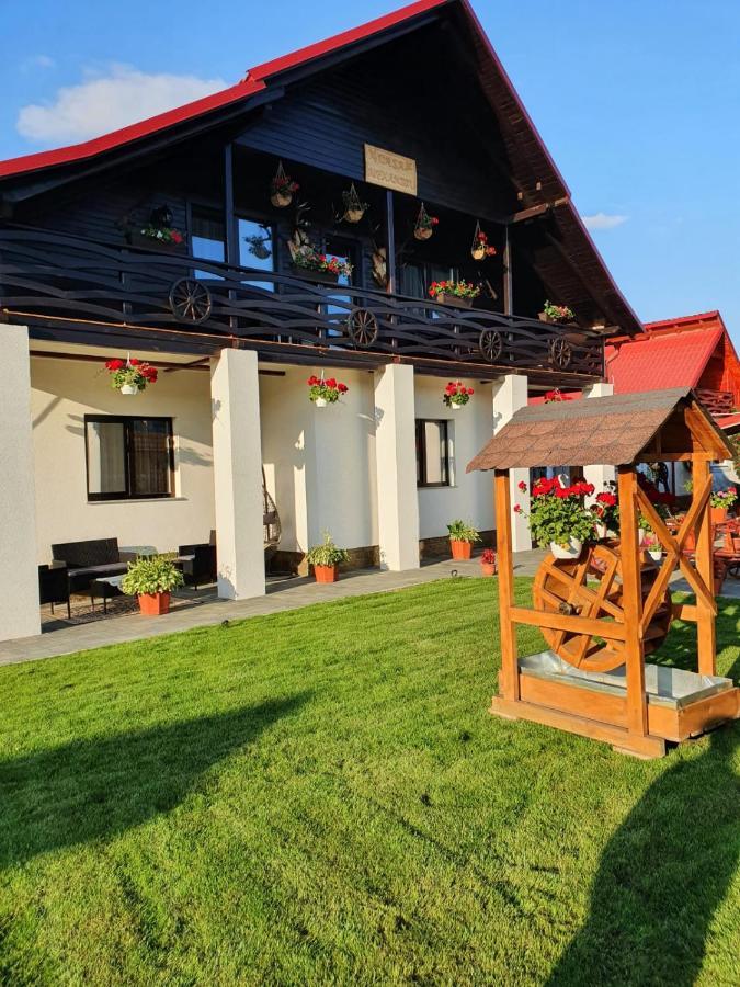 Casa Alexandru - Locul In Care Te Simti Acasa Hotel Вишеу де Жос Екстериор снимка