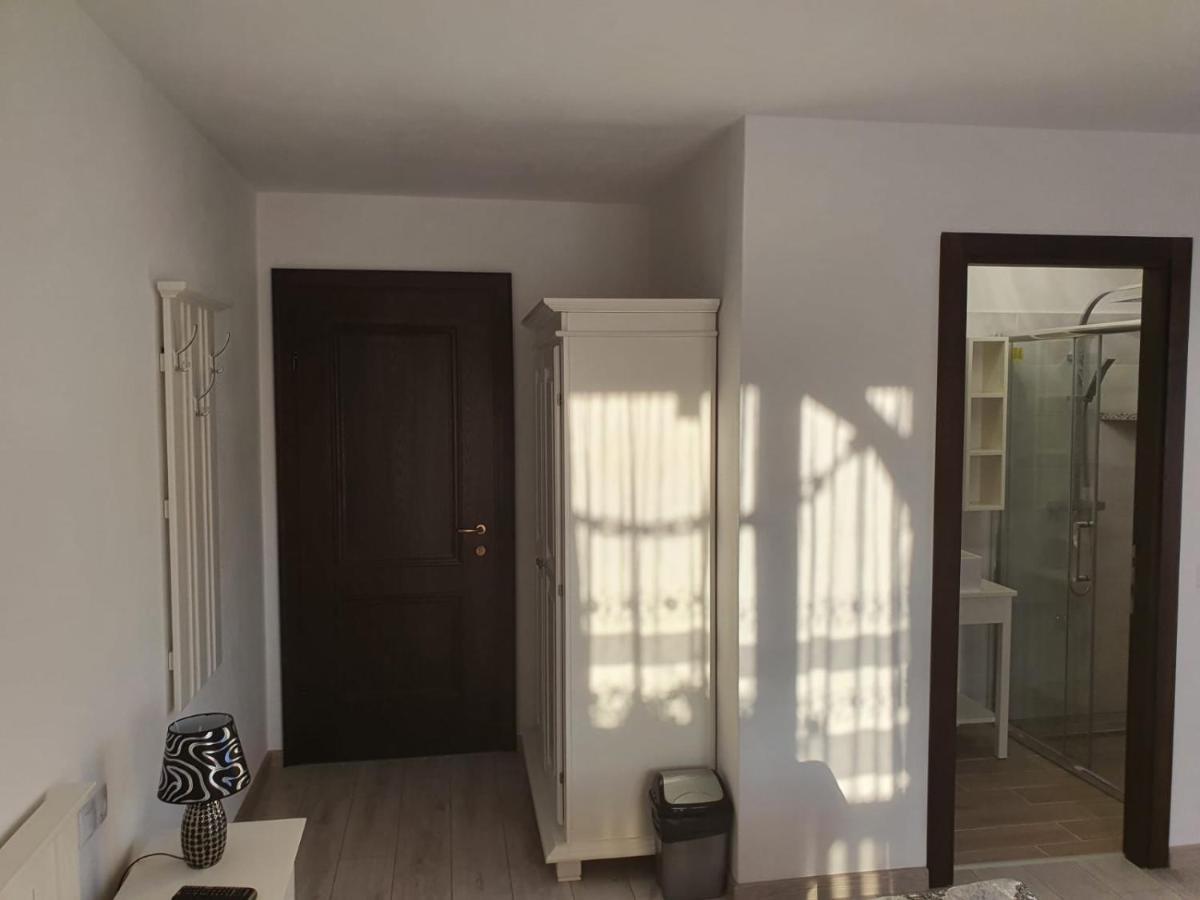 Casa Alexandru - Locul In Care Te Simti Acasa Hotel Вишеу де Жос Екстериор снимка