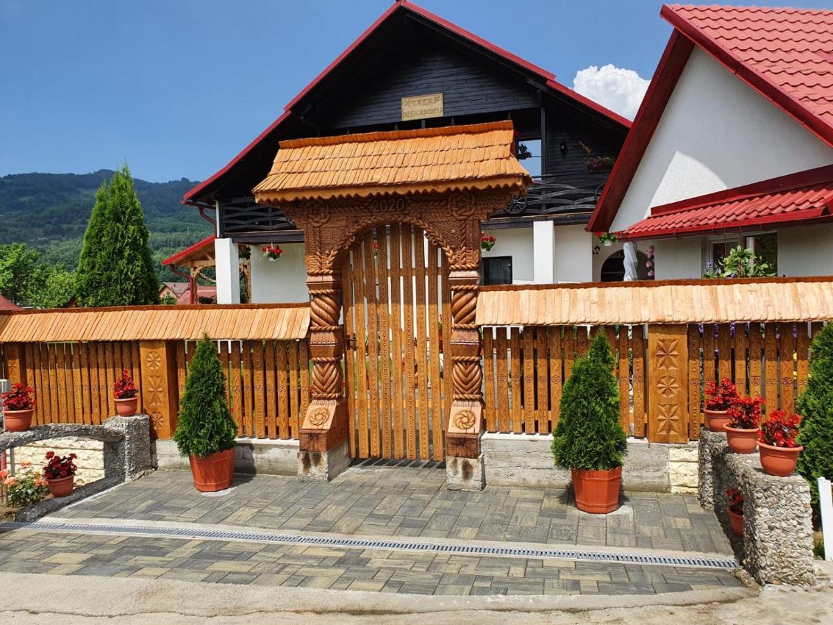 Casa Alexandru - Locul In Care Te Simti Acasa Hotel Вишеу де Жос Екстериор снимка
